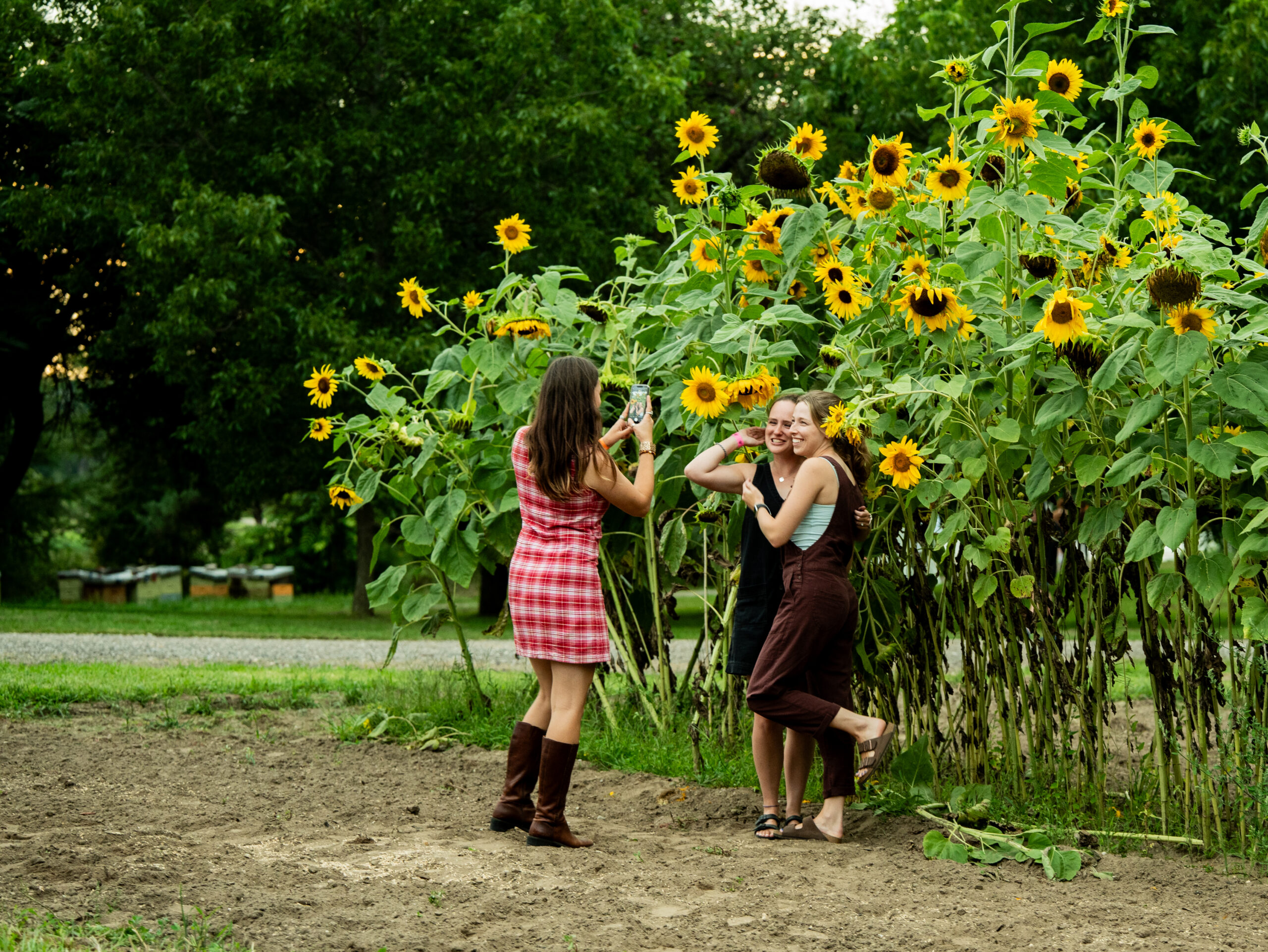 MiddleRiverMusicFestival-19